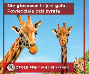 Komiczna kampania Opola! Wybory Prezydenckie 2020 to nasza szansa na rekord frekwencji