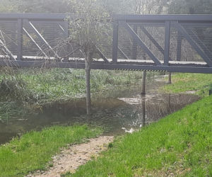 Wrocław: NIEBEZPIECZNIE w Parku Wschodnim! Oława wystąpiła z brzegów! WIELKIE rozlewisko! 