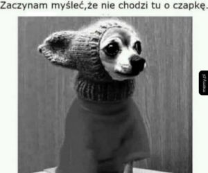Memy o pogodzie 