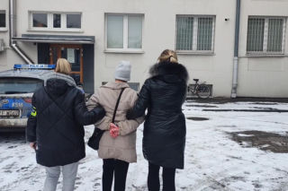 Były niedożywione i zapchlone, miały odmrożone łapy. Dramat 44 małych psów i 3 kotów