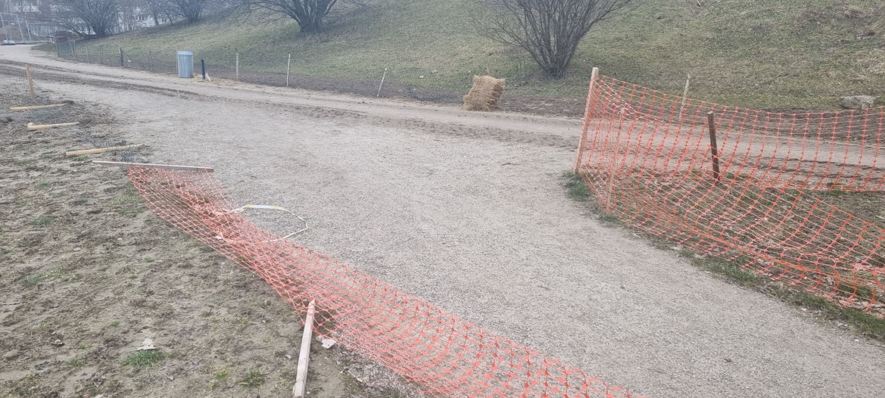Zarząd Zieleni pokazał skutki wandalizmu w Warszawie