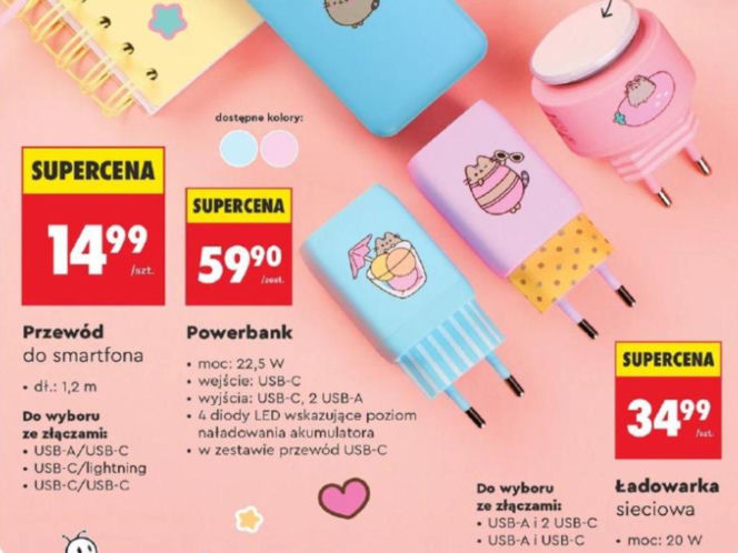 Kolekcja Pusheen w Bidronce