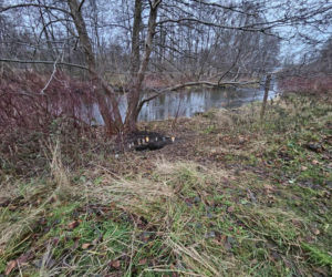 Poćwiartował ciało współlokatora i zakopał w parku! Po wszystkim napisał do matki Mateusza