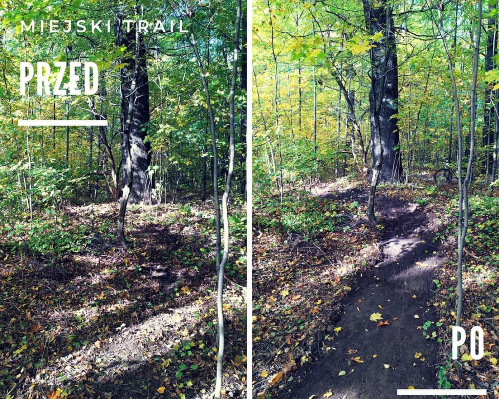 Miejski Trail w Żywcu