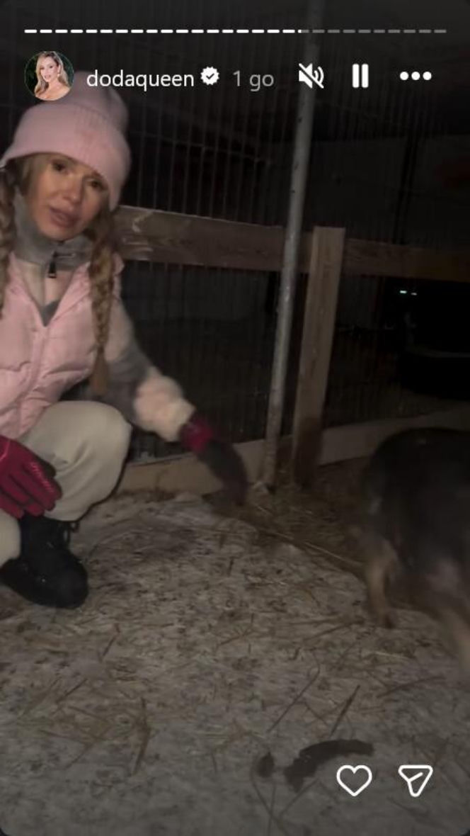 Koniec heroizmu Dody? Artystka mówi dość po dramatycznych wizytach w schroniskach