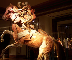 Rzeźby Gunthera von Hagens