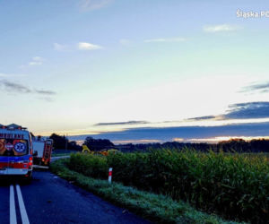 Śląskie: Śmiertelny wypadek rowerzysty. 33-latek zginął pod kołami osobówki 