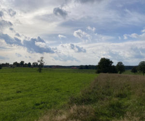 Bitwa o Polanę Ukciańską nad Krutynią
