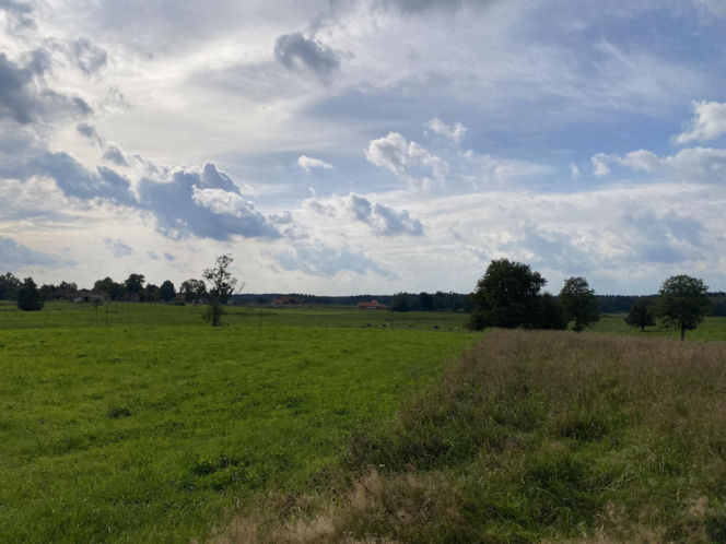 Bitwa o Polanę Ukciańską nad Krutynią