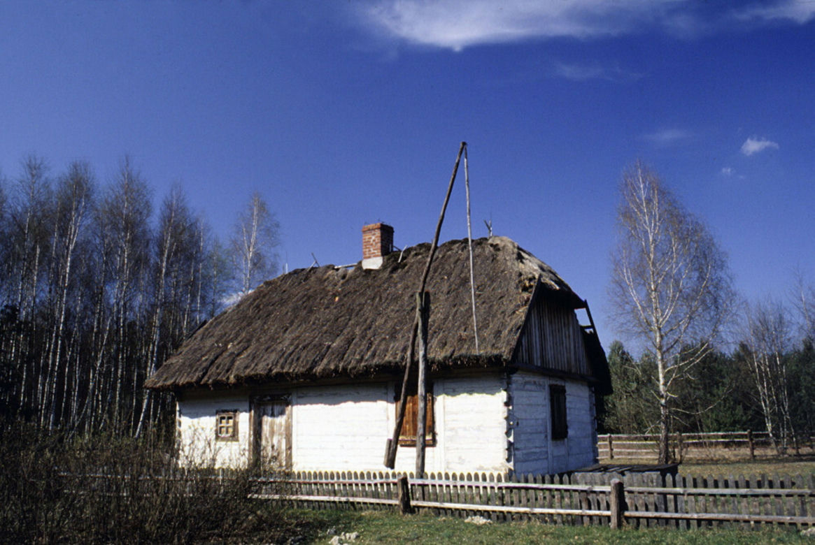 Puszcza Kampinoska
