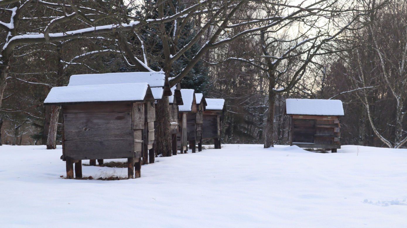 Cicho i wszędzie biało. Tak prezentuje się skansen w Lublinie w zimowej odsłonie! [GALERIA]