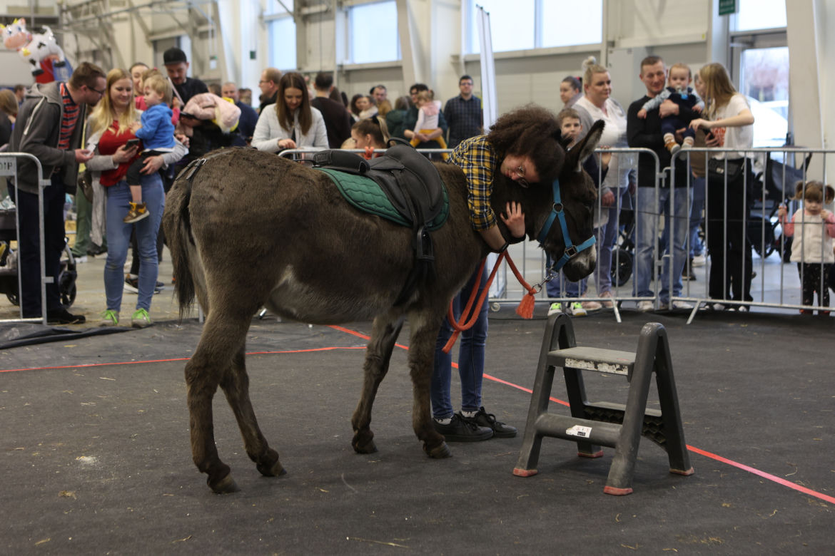 ZooPark 2023 w Lublinie przyciągnął tłumy!