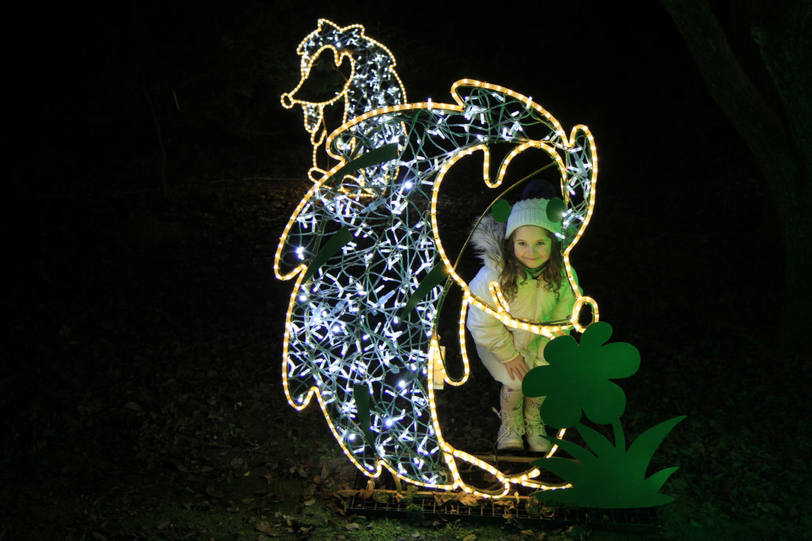 Park iluminacji „Tajemniczy Ogród” w Lublinie