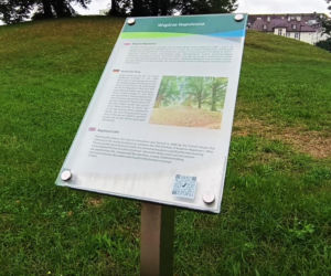 Wzgórze Napoleona w Szczecinie