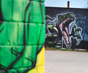 Przy ul. Mieszka I w Siedlcach można podziwiać całą galerię murali i graffiti