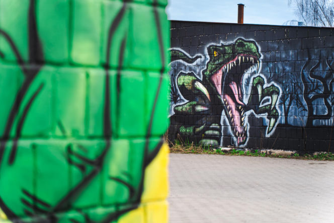 Przy ul. Mieszka I w Siedlcach można podziwiać całą galerię murali i graffiti