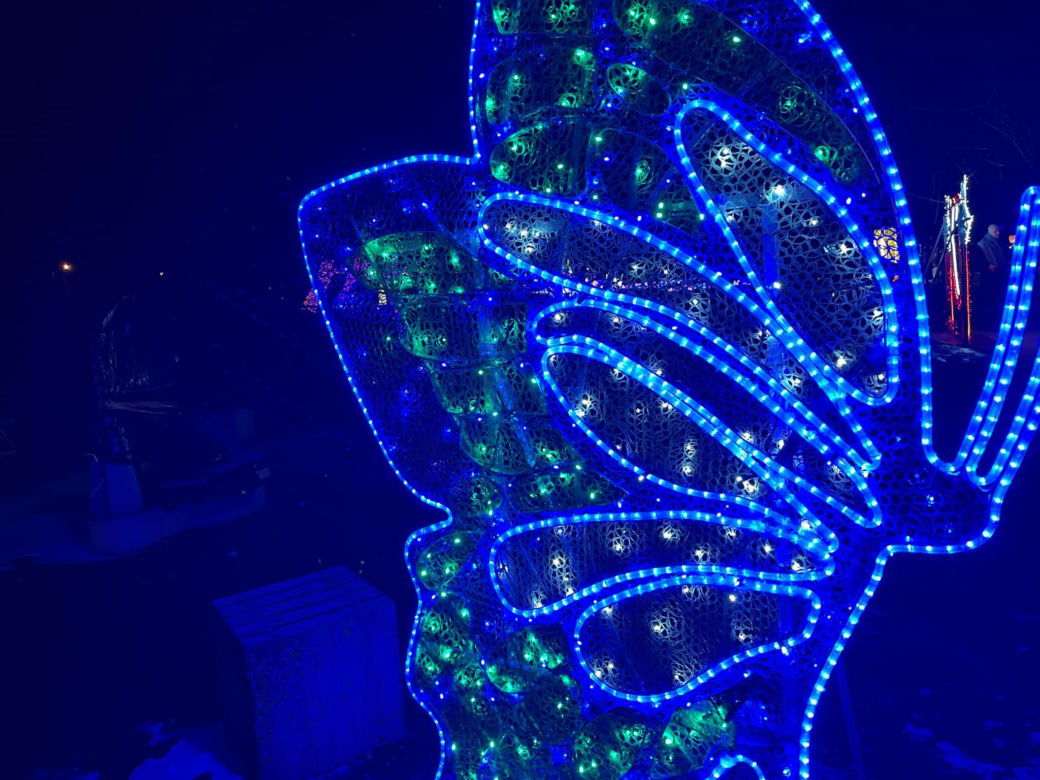 Garden of Lights w Szczecinie