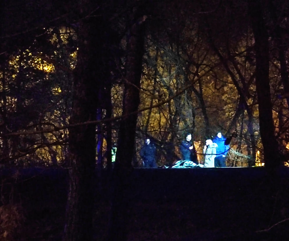 Nocna makabra w Radości. Rozczłonkowane ciało leży na torach