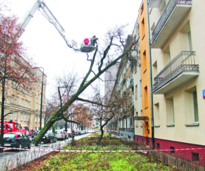 Wichura rozrabiała w mieście