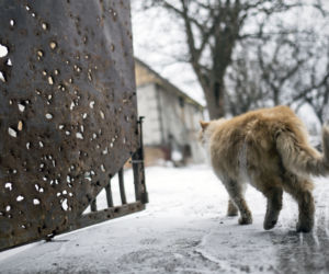 Konflikt wewnętrzny: Wyjątkowa wystawa zdjęć krakowskiego reportera [GALERIA]