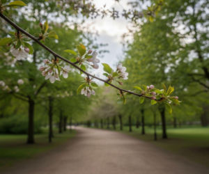 Pogoda na weekend w Białymstoku 1-3 maja. Z dnia na dzień będzie cieplej i bardziej słonecznie