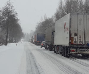 Atak zimy w Białymstoku i województwie podlaskim 04.02.2021 [ZDJĘCIA]