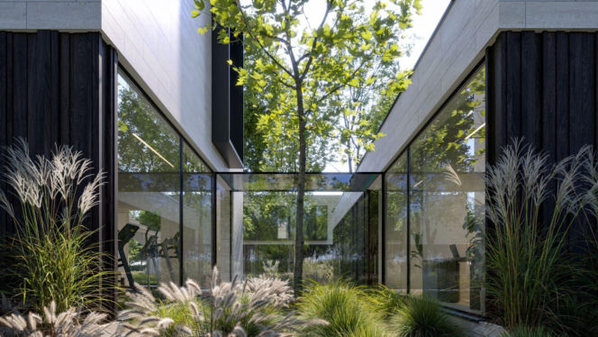 Wille SAAN w Łomiankach