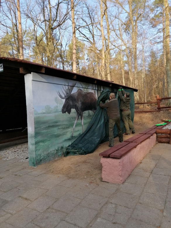 Mural z łosiem stanął przy drodze. Ma ostrzegać kierowców [ZDJĘCIA]