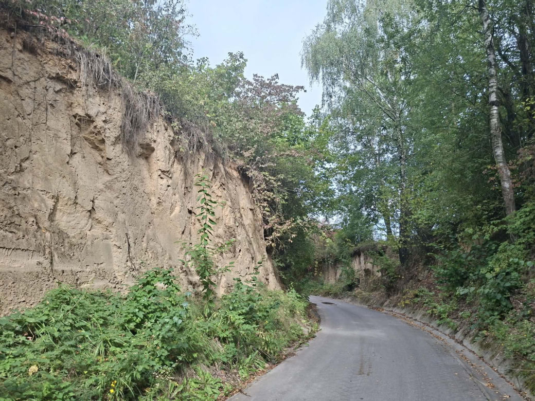 Udziców Świętokrzyskie. Wąwóz