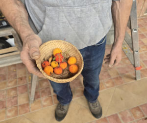 Piadina romagnola - duma regionu Emilia-Romania. Spotkanie z włoską tradycją w wiosce Montetiffi