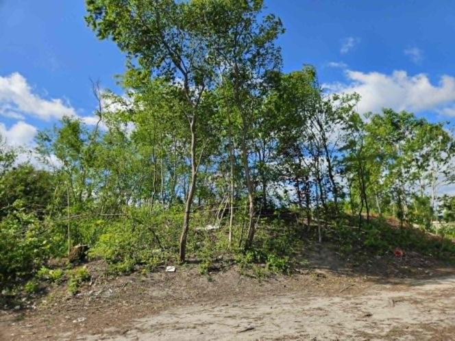 Będzie nowy stadion na Warmii