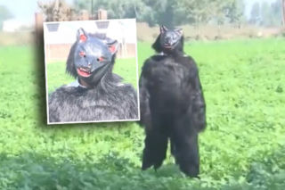 Yeti pojawił się na polu?! Ten film może szokować, wyjaśnienie zaskakuje