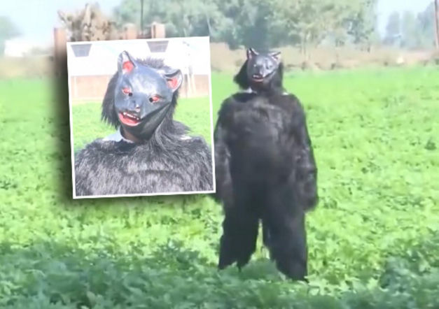 Yeti pojawił się na polu?! Ten film może szokować, wyjaśnienie zaskakuje