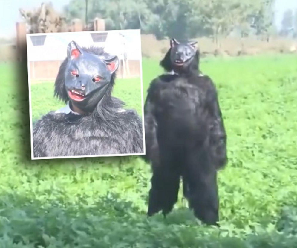 Yeti pojawił się na polu?! Ten film może szokować, wyjaśnienie cię zaskoczy