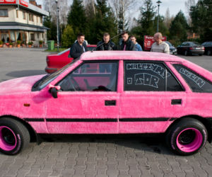 Włochaty polonez rządzi