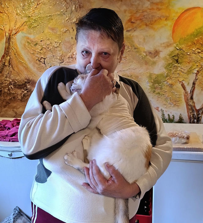 Watahy zdziczałych psów atakują wieś! "Rozrywają koty, rzuciły się na dziecko!