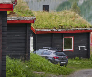 Zielone dachy Norwegii