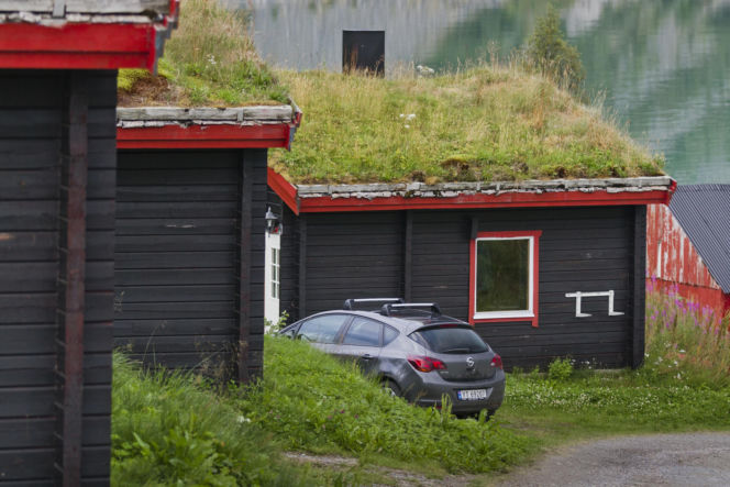 Zielone dachy Norwegii