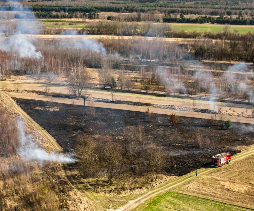 Pracowity weekend strażaków. Ponad 200 interwencji i plaga pożarów traw