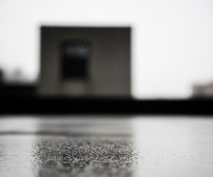 Jennifer Runyon zmarła. Rodzina aktorki z Pogromców duchów ujawniła, co się stało