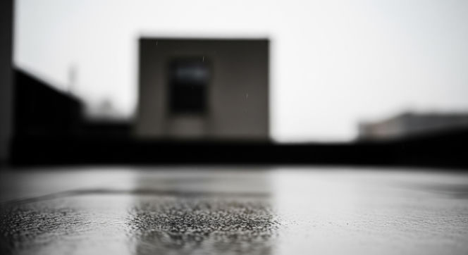 Jennifer Runyon zmarła. Rodzina aktorki z Pogromców duchów ujawniła, co się stało