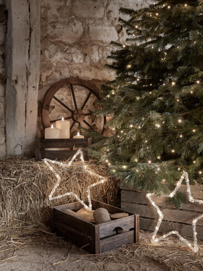 Święteczne oświetlenie ogrodu