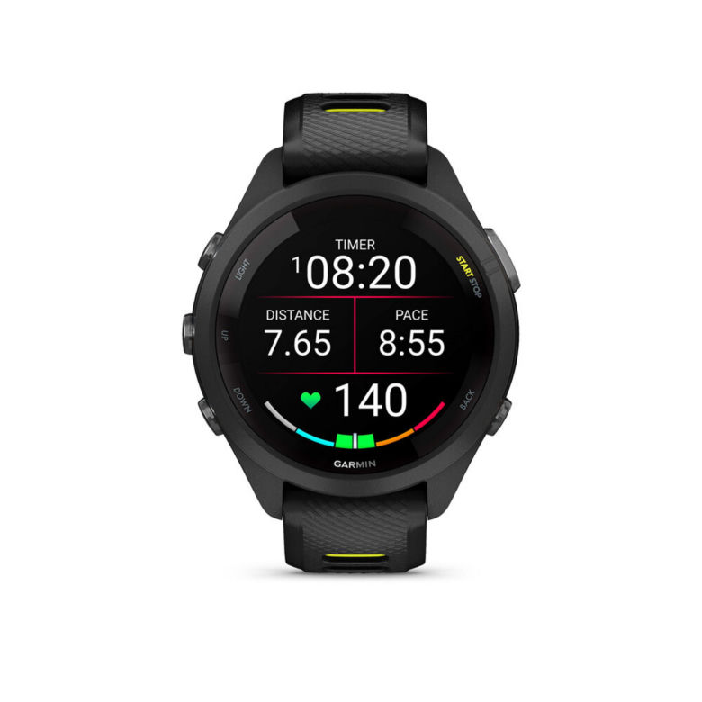 Garmin 265
