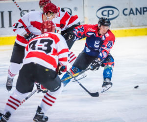 Comarch Cracovia - KH Energa Toruń 0:5, zdjęcia z piątkowego meczu Polskiej Hokej Ligi