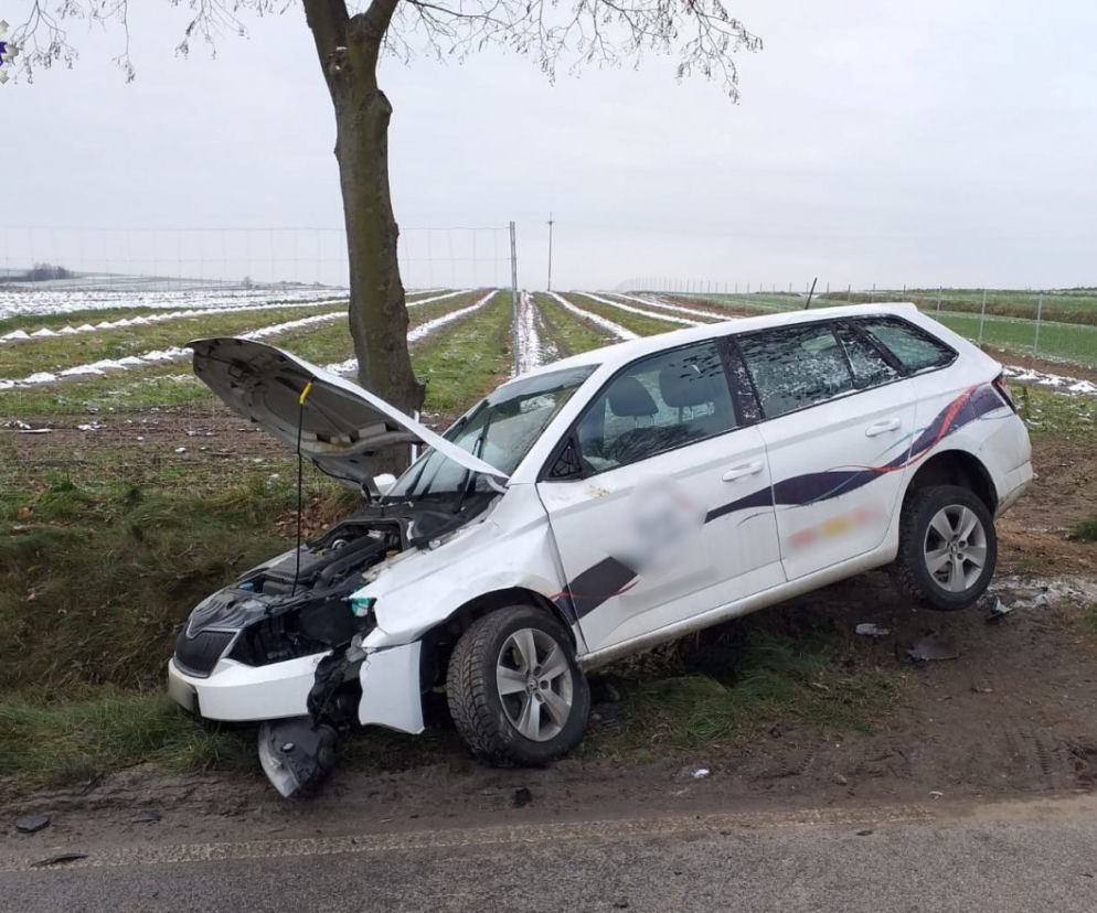 Tak wygląda Fabia po zderzeniu z łosiem