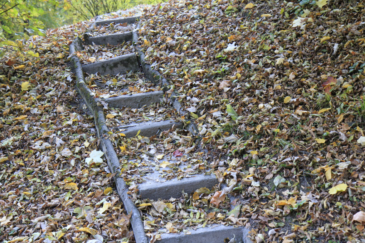 Spacer po jesiennych Ogrodzie Botanicznym w Lublinie