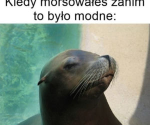 Sezon na MORSOWANIE otwarty! Zobacz najlepsze MEMY!