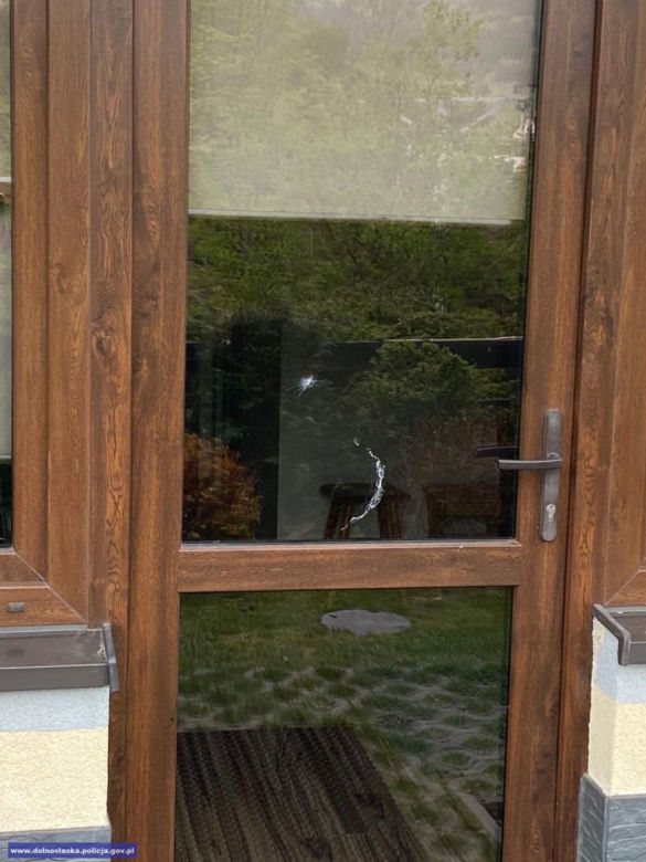 Dolny Śląsk: Ostrzelali okna i postrzelili kota