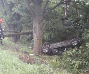 Wypadek na DK19