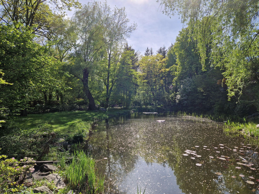 Wiosna w Ogrodzie Botanicznym UKW, czyli spacer wśród zieleni
